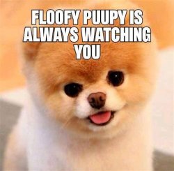Floofy puppy Meme Template