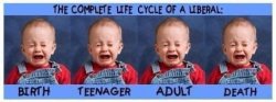 Life cycle of a liberal Meme Template