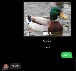 duck Meme Template