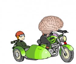 Brain driving you mad, and you in a sidecar Meme Template