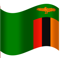 Flag of Zambia Meme Template