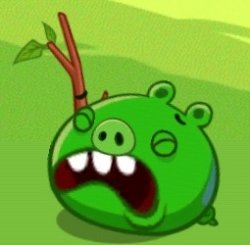 Cry About IT Angry Birds Epic Pig Meme Template