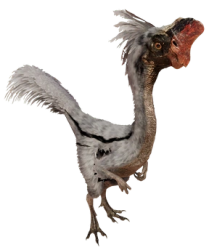 Oviraptor 4 (JWD Design) Meme Template