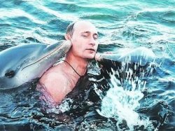 Putin Dolphins Meme Template
