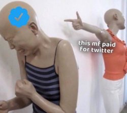 Twitter paid Meme Template