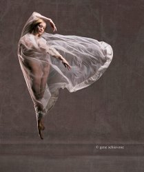 Sierra Loren-Chapman Meme Template