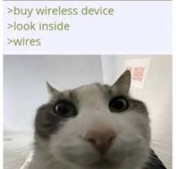 Wireless cat Meme Template