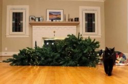 Cat knocked over Christmas Tree Meme Template