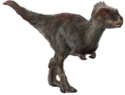 Moros 4 Meme Template