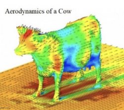 Aerodynamics of a cow Meme Template