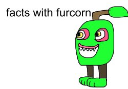 facts with furcorn Meme Template