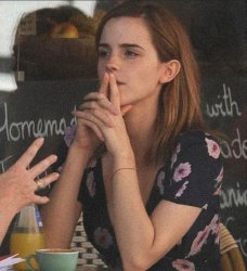 So what you're saying Emma Watson Meme Template