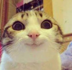 THE x! Meme Template