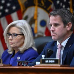 Cheney Kinzinger Meme Template