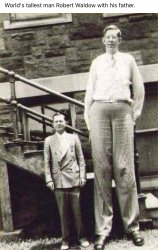 Worlds tallest man Robert Waldow Meme Template