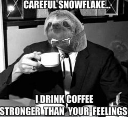 Monocle sloth careful snowflake Meme Template