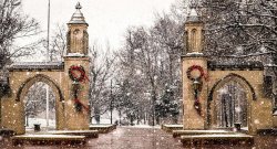 Sample 3 Meme Template