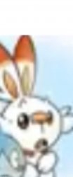 Surprised Scorbunny Meme Template