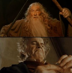 you shall not pass vs why shouldn't I keep it Meme Template