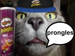 prongles Meme Template