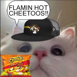 flamin hot cheetoos Meme Template
