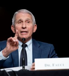 Dr. Fauci Big Lie Meme Template