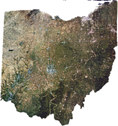 Ohio Meme Template
