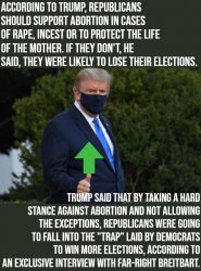 Trump talks common sense on abortion Meme Template