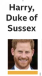 Harry, Duke of Sussex Meme Template