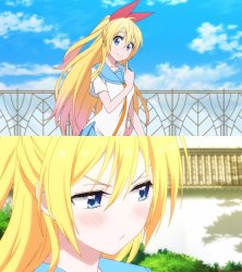 Nisekoi Chitoge - Calm & Curious Meme Template