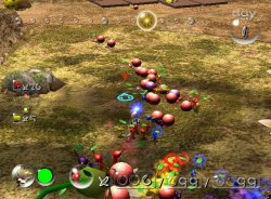 Pikmin 2 Beta day 1 Meme Template