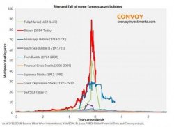 Rise and fall of famous asset bubbles Meme Template