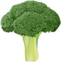 Broccoli for no reason Meme Template