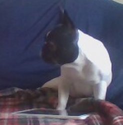 in my mober X Meme Template