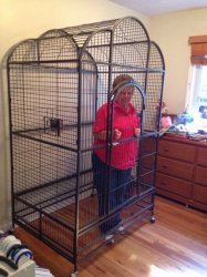 Grandma in a cage Meme Template