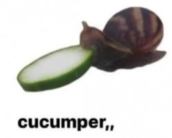 cucumper,, Meme Template