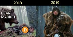 bear market di caprio Meme Template