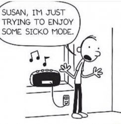 susan I'm just trying to enjoy Meme Template