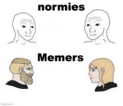 Memers vs normies Meme Template