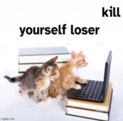 kys loser cats Meme Template