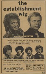 The establishment wig Meme Template