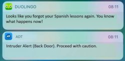 Duolingo notification oh crap Meme Template