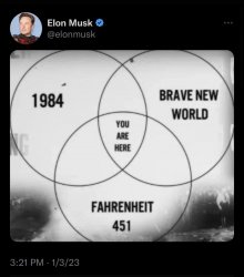 Elon Musk Dystopia Tweet Meme Template