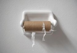 empty roll of toilet paper Meme Template