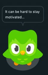 Duolingo the motivator Meme Template