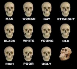 Skulls ape stupid human homo erectus neanderthal Meme Template