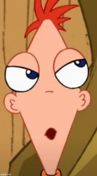 Front Facing Phineas 1.6 Meme Template