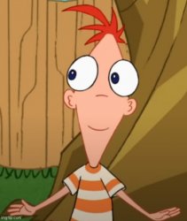 Front Facing Phineas 1.7 Meme Template