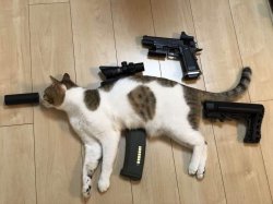 Tactical Michi Meme Template