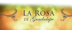 Logo rosa de guadalupe Meme Template